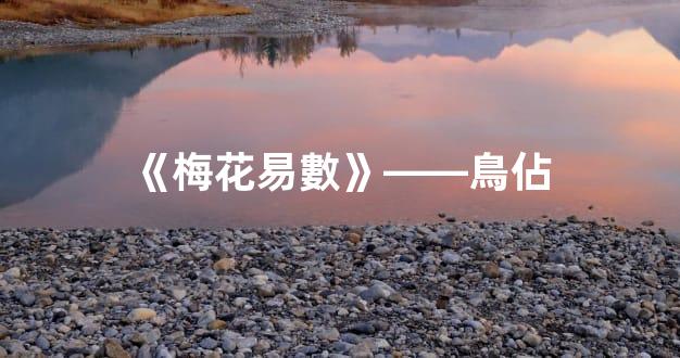 《梅花易數》——鳥佔 